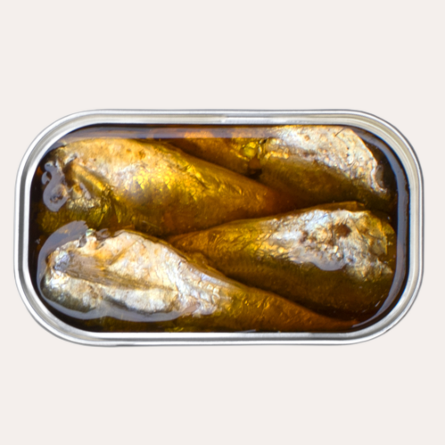 Tin of sardines on a white background