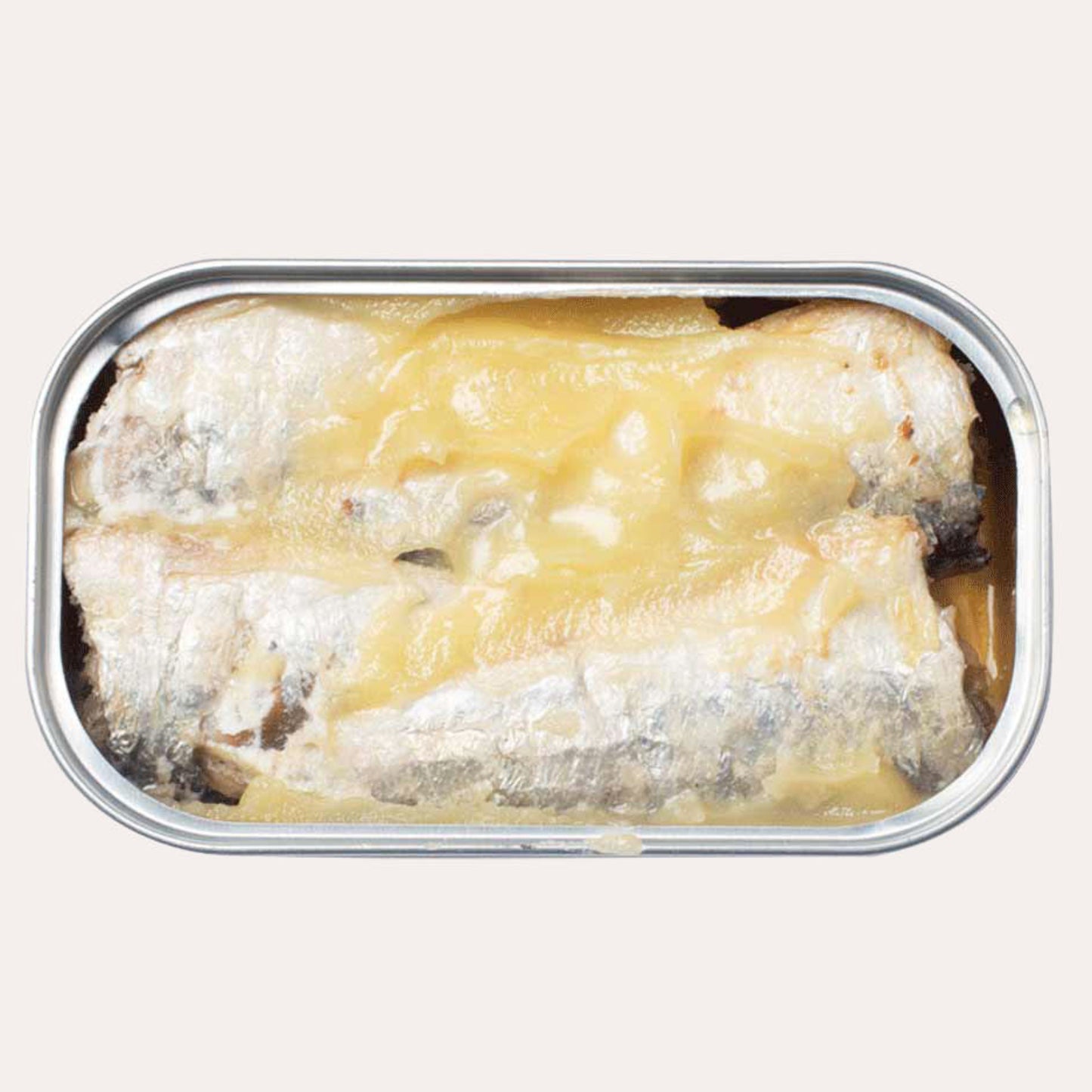 Tin of sardines on a white background