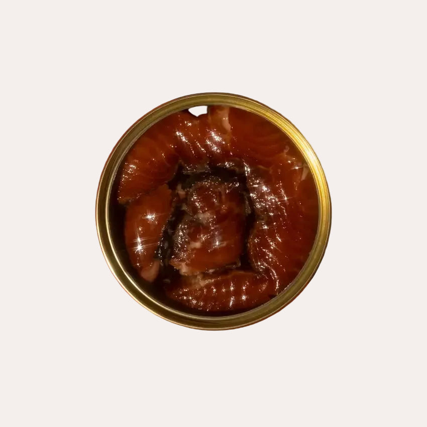 Can of sardines on a red background