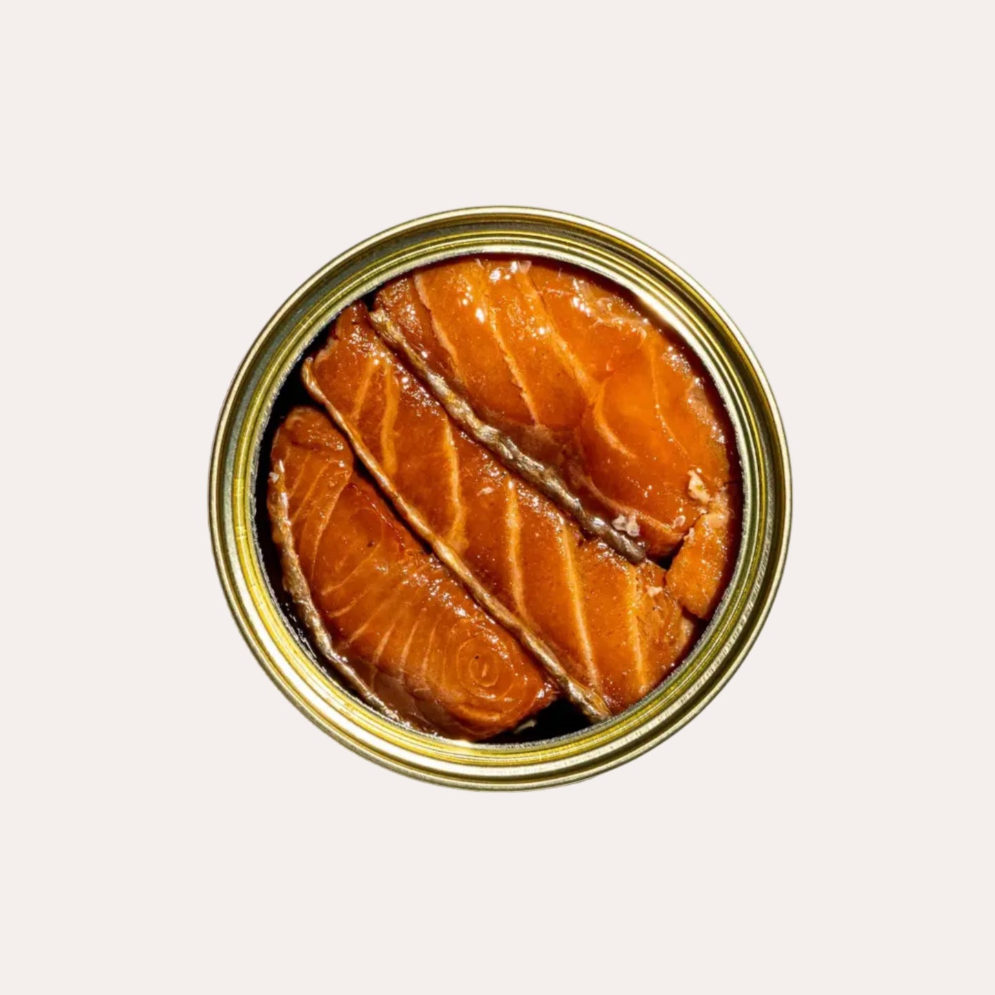 Can of salmon on a white background
