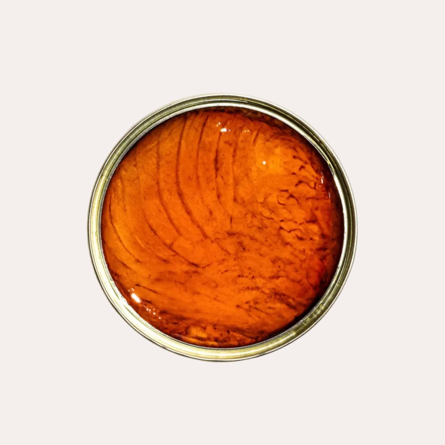 Close-up of a round container of albacore tuna tinned fish with a metallic rim filled with a red-brown substance on a white background.