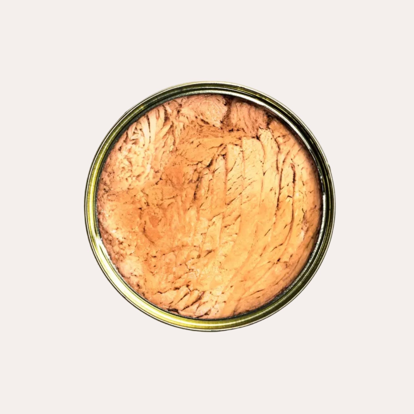 Open can of tuna on a white background